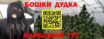 прущие грибы Пушкино