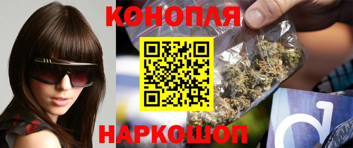 Каннабис сатива Алексеевка